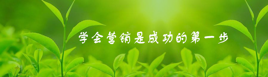 网络营销