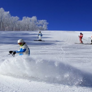 本年度冰雪旅游或超2亿人次，休闲旅游收入超3900亿元