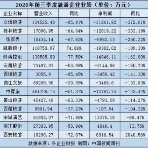 停摆、倒闭、破产，旅游业还有诗和远方吗？