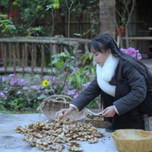 网络“田园审美”能带来乡村旅游的风口吗？