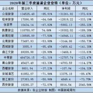 停摆、倒闭、破产，旅游业还有诗和远方吗？