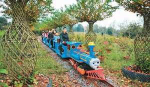 各地旅游行业出招让“淡季不淡”：区域合作成拓展市场利器