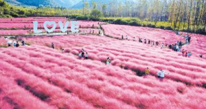 防控保安全 出游添幸福：旅游兴旺来之不易